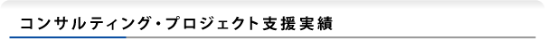 コンサルティング・プロジェクト支援実績