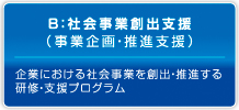 社会事業創出支援